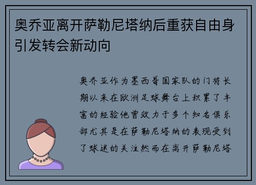 奥乔亚离开萨勒尼塔纳后重获自由身引发转会新动向 奥乔亚离开萨勒尼塔纳后重获自由身引发转会新动向