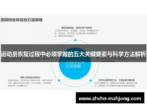 运动员恢复过程中必须掌握的五大关键要素与科学方法解析 运动员恢复过程中必须掌握的五大关键要素与科学方法解析